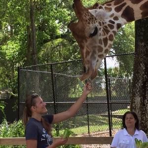 Meet your Posher, Kim